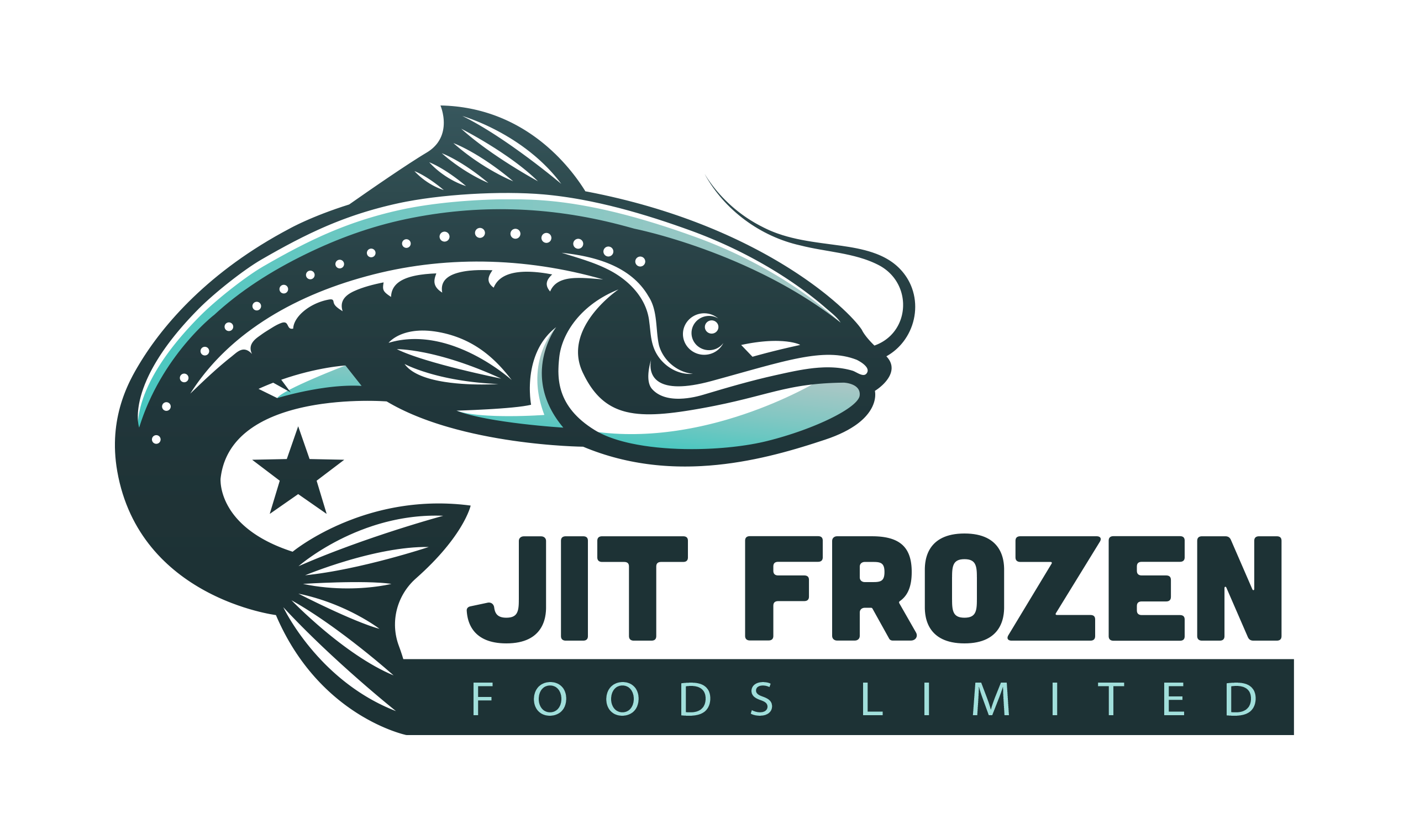 JIT Frozen Foods