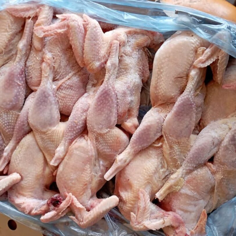 Just%20In%20Time%20Frozen%20Foods