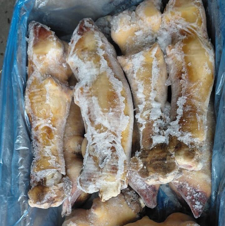 Just%20In%20Time%20Frozen%20Foods