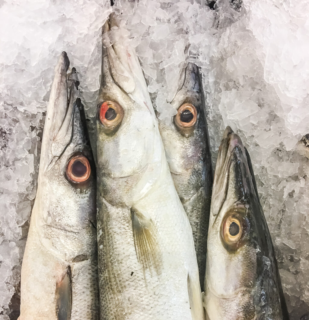 Just%20In%20Time%20Frozen%20Foods