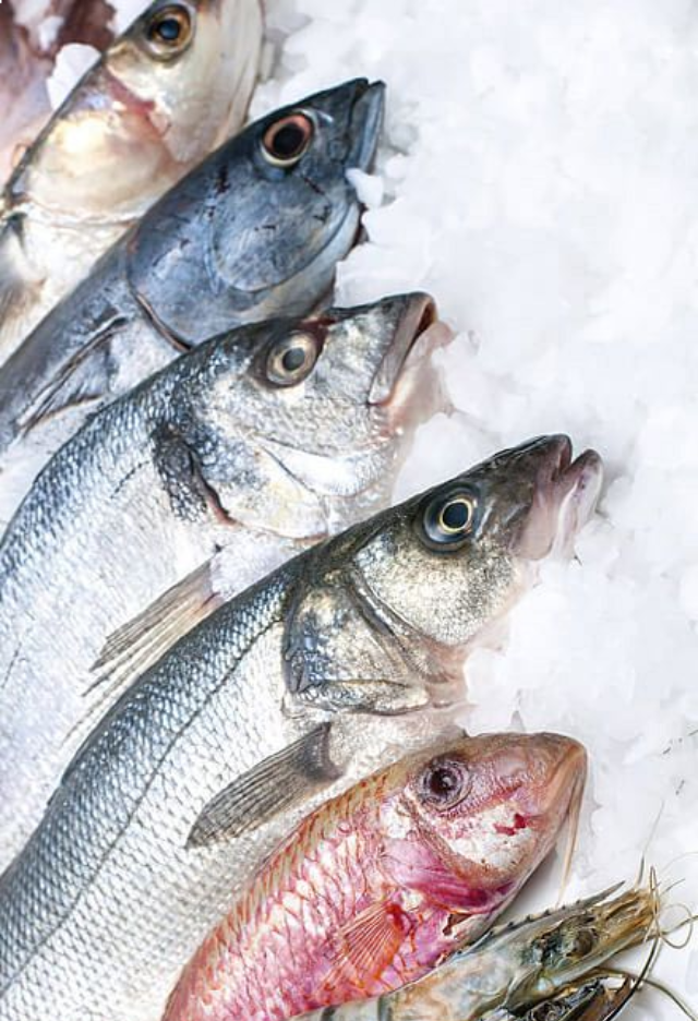 Just%20In%20Time%20Frozen%20Foods