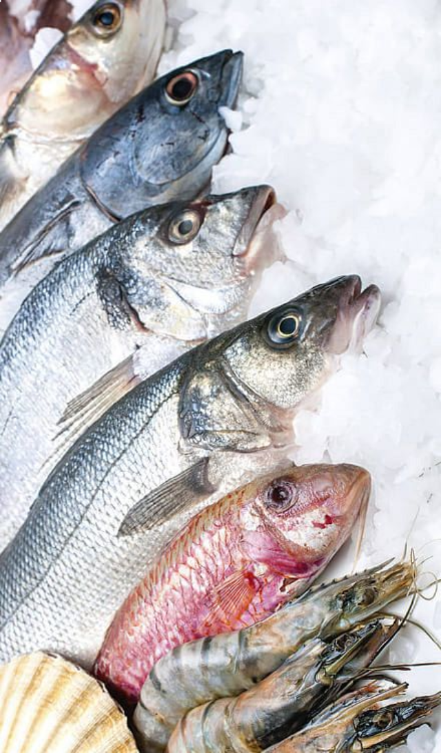 Just%20In%20Time%20Frozen%20Foods