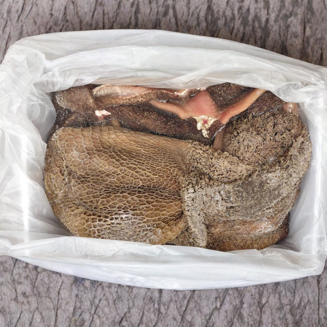 Just%20In%20Time%20Frozen%20Foods