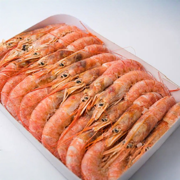 Just%20In%20Time%20Frozen%20Foods