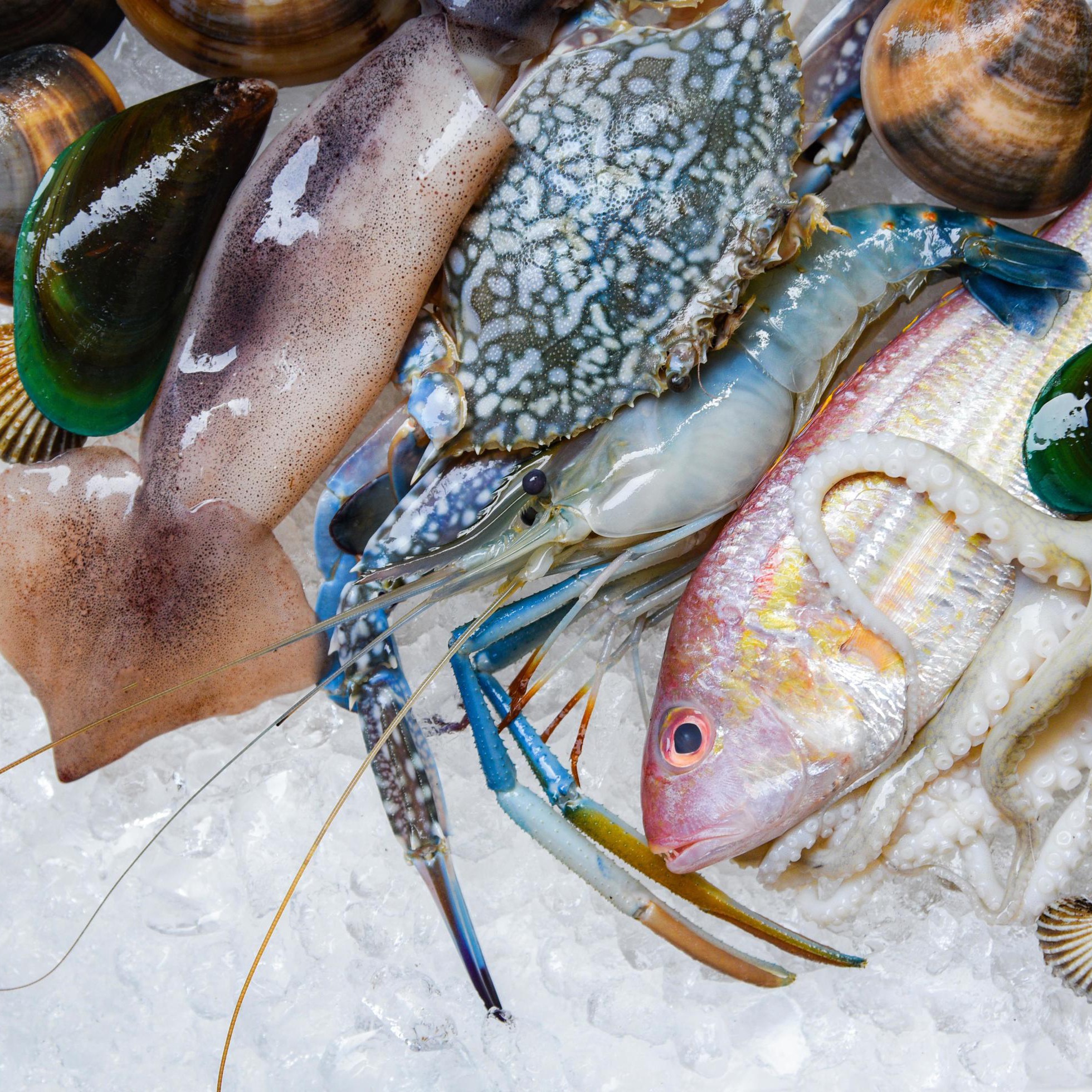 Just%20In%20Time%20Frozen%20Foods